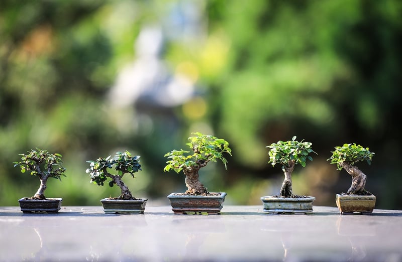 Gardening tools